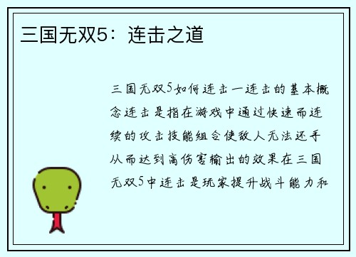 三国无双5：连击之道